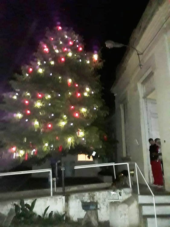 Se encendió el árbol navideño en  el geriátrico «Dr. Ernesto L. Pinto» 