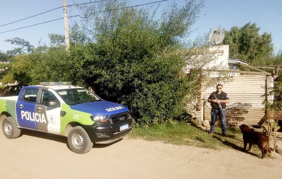 En allanamiento, la Policía recuperó  animales robados de una quinta