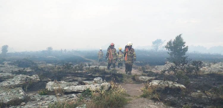 La lluvia llegó como bendición y apagó el incendio en «La Barrosa»