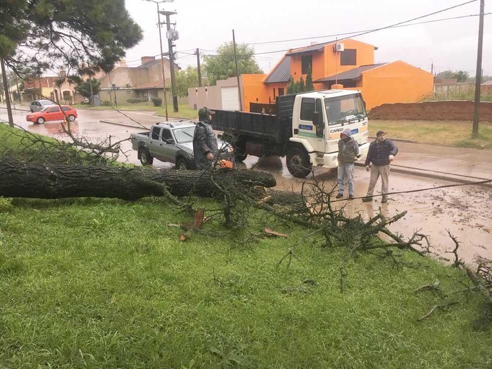 Distintos inconvenientes causó la intensa lluvia