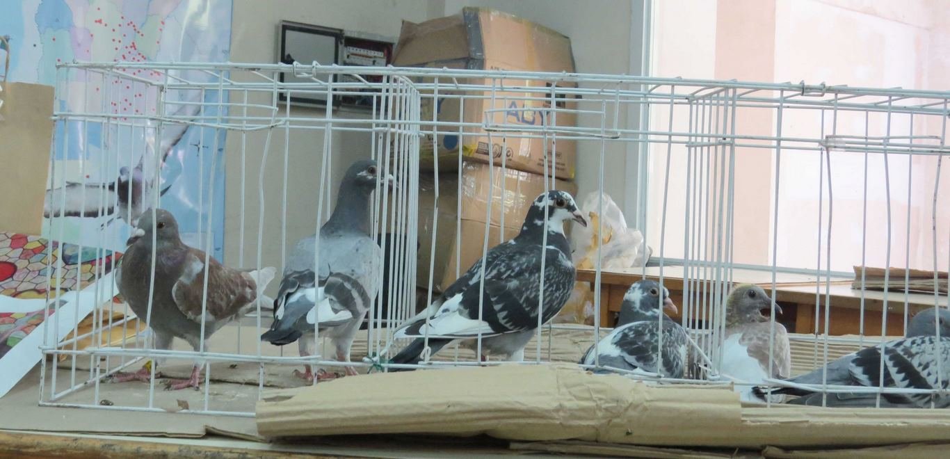 ¿Las atletas del aire podrán ‘sobrevolar’ al Covid-19?