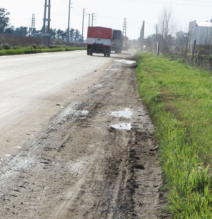 En Circunvalación, "Invasión" de tierra y pasto, y agua acumulada
