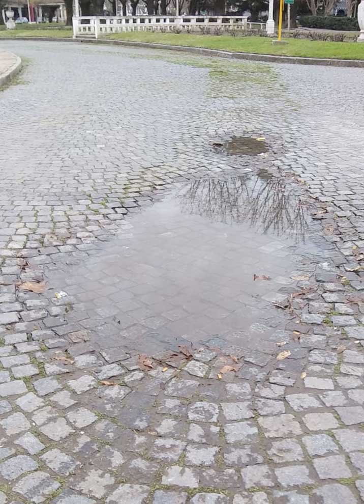Una imagen que duele; un reclamo desoído (o desatendido)