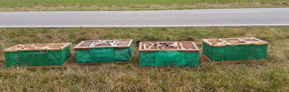 Con protocolo, volvieron los vareos para las «atletas del aire»