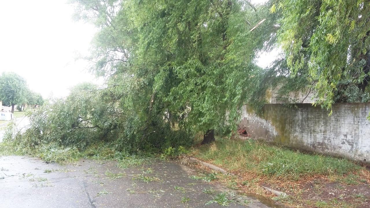 La lluvia causó distintos inconvenientes