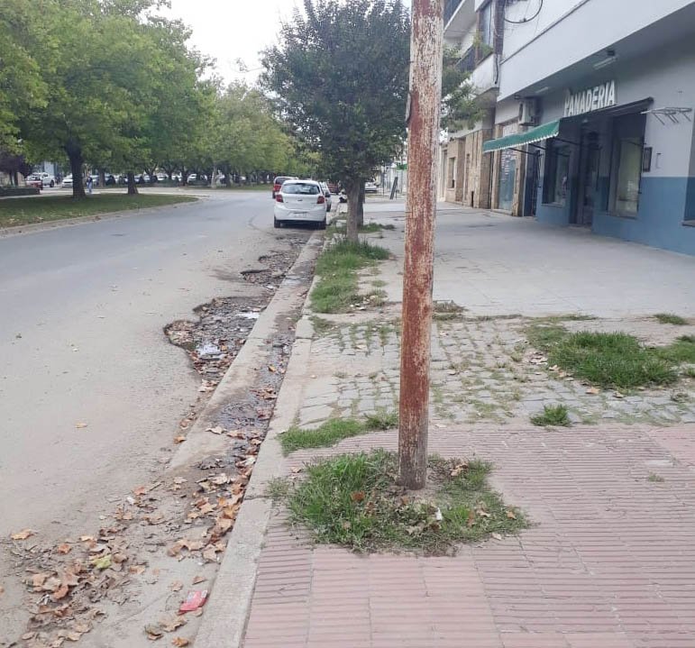 Baches que se multiplican