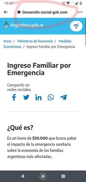 Advierten sobre falsas páginas de la ANSeS