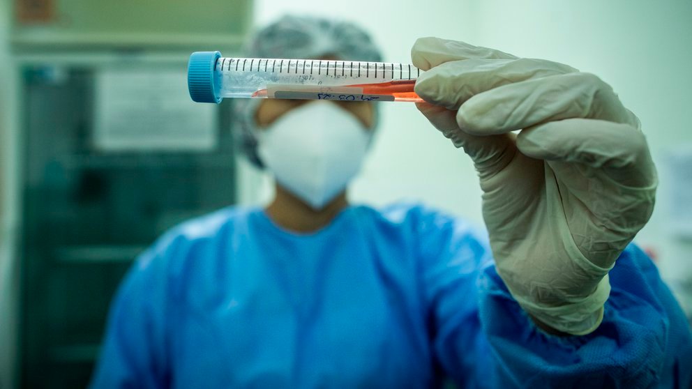 Detectan casos de variantes proveninentes de la India y de Sudáfrica entre viajeros llegados al país