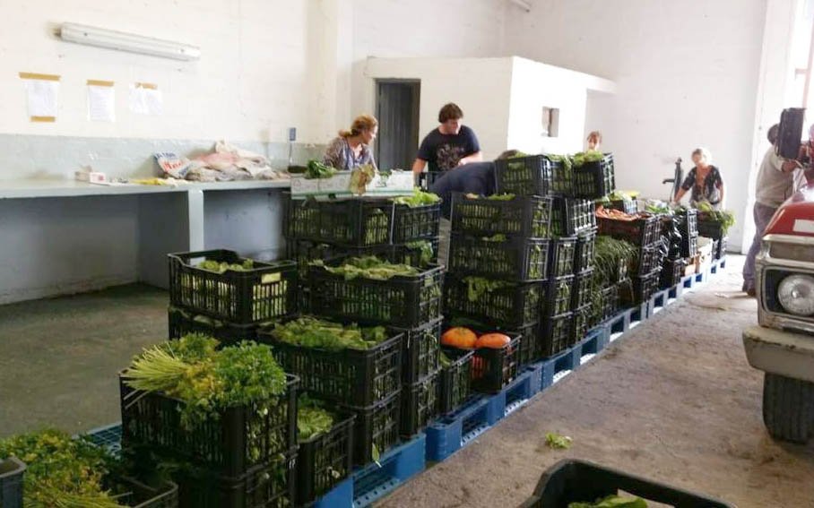 Iniciativa: salvar los alimentos que se tiran