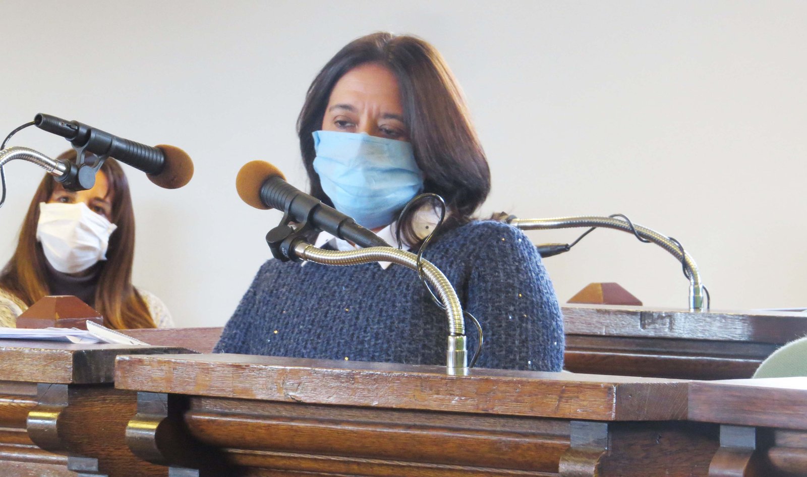Que autoricen las clases presenciales en distritos  en Fase 2 le pide la concejal Divito al Gobernador