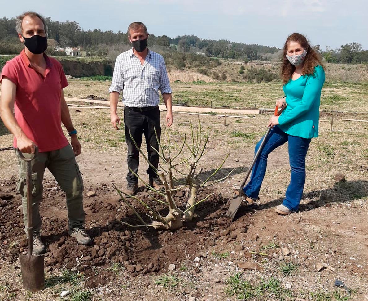 Continúan las actividades por la "Semana del árbol"