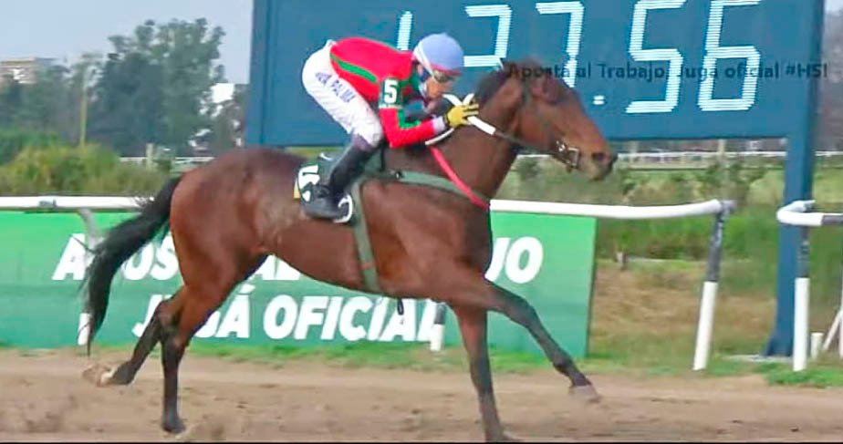 Martín La Palma en su racha más ganadora como jockey profesional