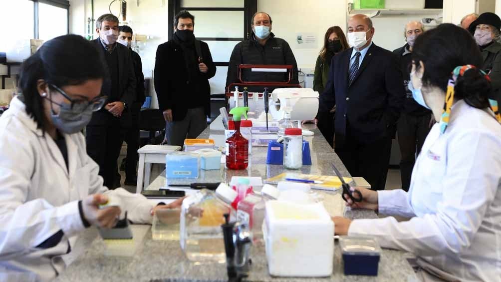 Aprobaron nuevos financiamientos para el diseño de vacunas argentinas contra el coronavirus