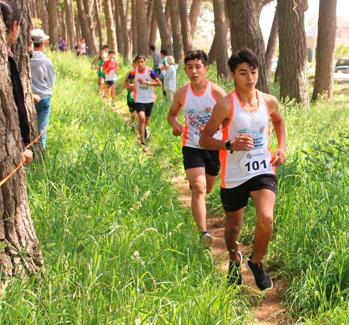 Cross country: un campeonato, 4 títulos y 7 clasificados al Nacional