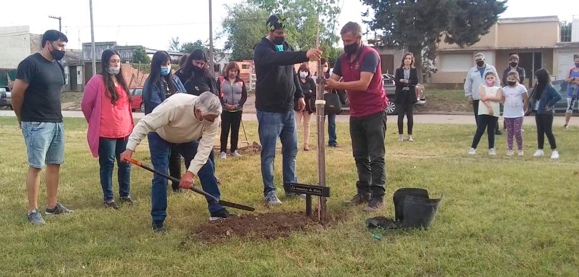 Un árbol en memoria de Mirta Suárez