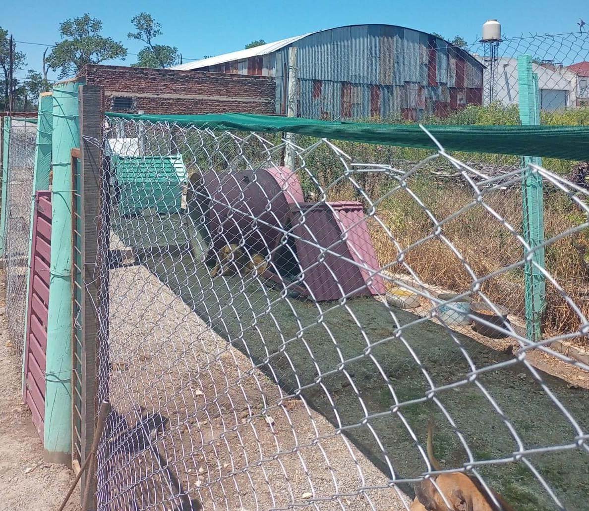 Se construyen nuevos caniles en el área de zoonozis