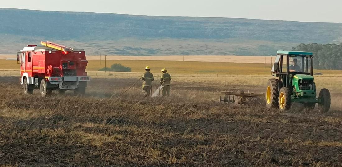Intensa labor de Bomberos por la ola de calor