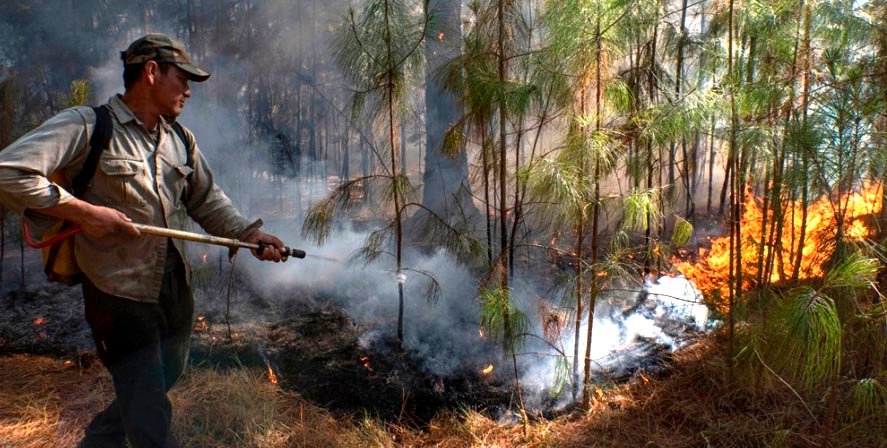 El fuego no cede en Corrientes, pero se espera un pronóstico alentador