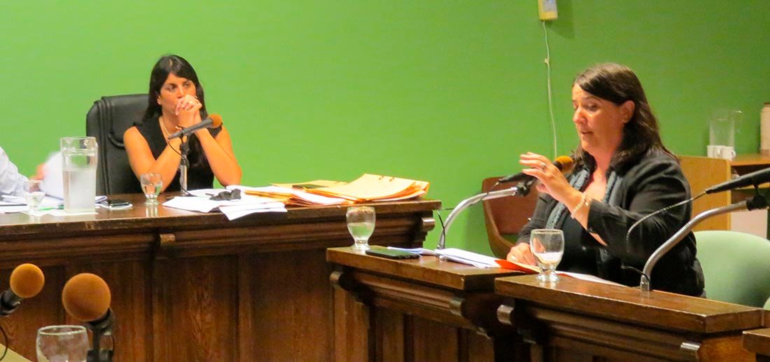 Patentes municipalizadas: un error que se subsanó, pero por el cual la oposición criticó al secretario de Hacienda