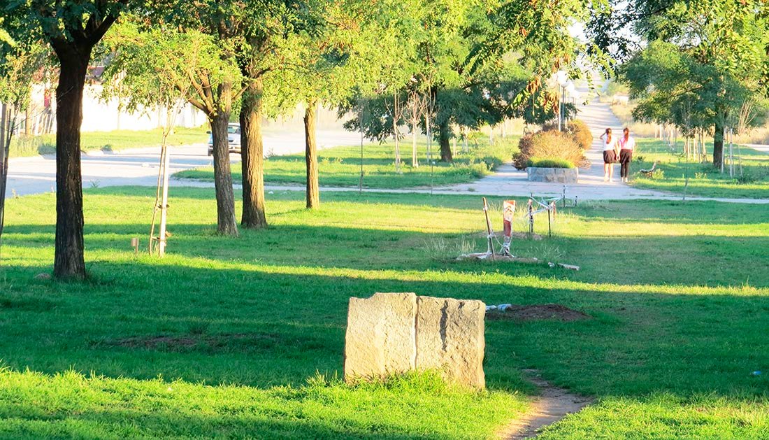 Avanza el proyecto para homenajear en forma permanente a los muertos por Covid