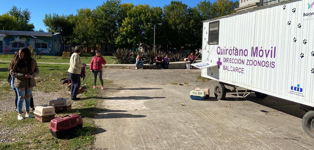 Zoonozis empezó a recorrer los barrios de la ciudad con el quirófano móvil