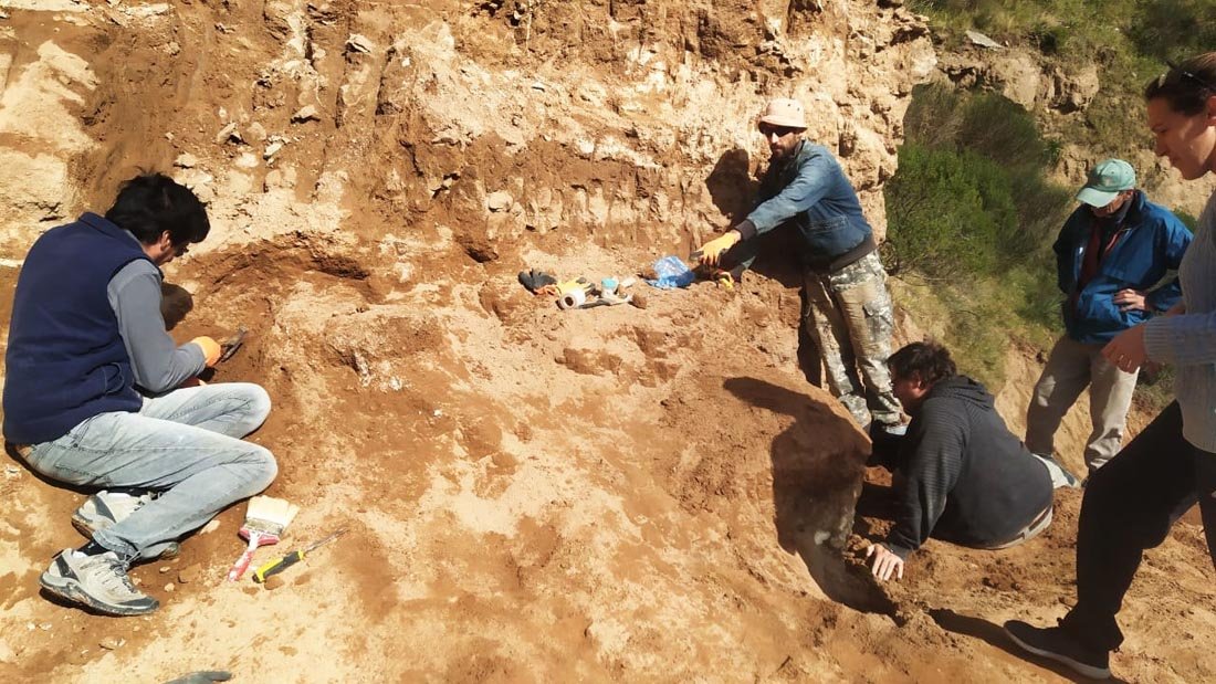 Vándalos dañan y roban partes del  caparazón de gliptodonte en el geoparque
