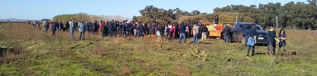 Cuando se siembra solidaridad la cosecha siempre es abundante