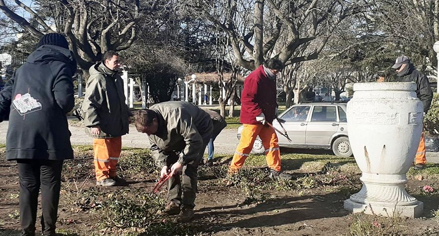 Con un fin solidario se realizó la poda anual de rosales