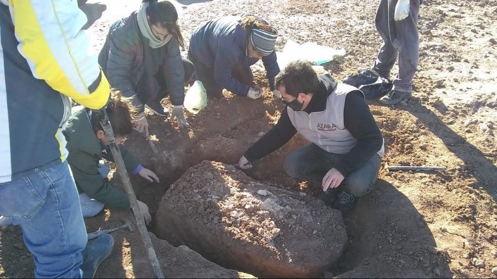 Pescadores hallaron fósiles de un perezoso gigante en Miramar