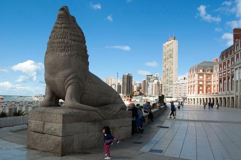 Mar del Plata: ¿dónde están ubicados los 40 nuevos dispositivos para realizar fotomultas?