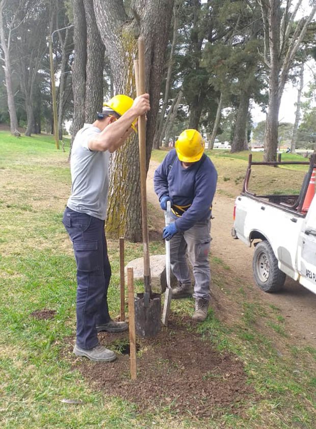 Comenzaron los trabajos de colocación de luminarias en cerro “El Triunfo”