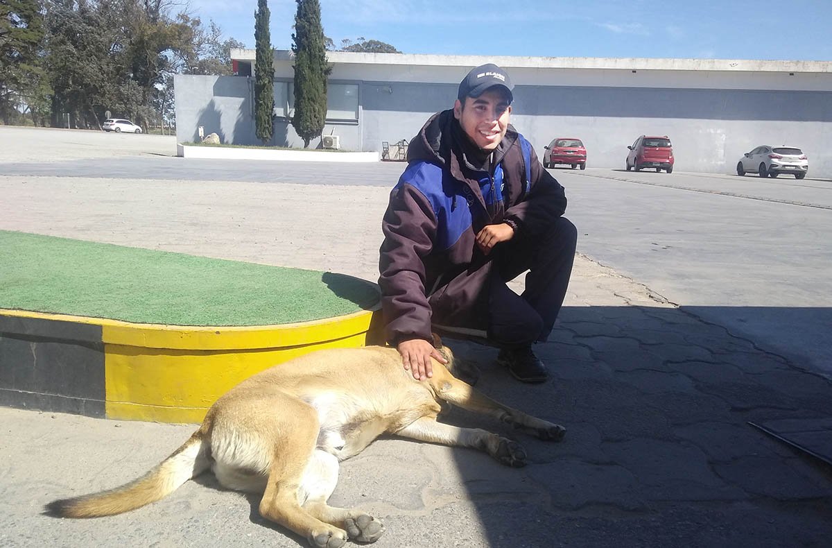 Juan Carlos, la historia del perro que se hizo viral en las redes sociales
