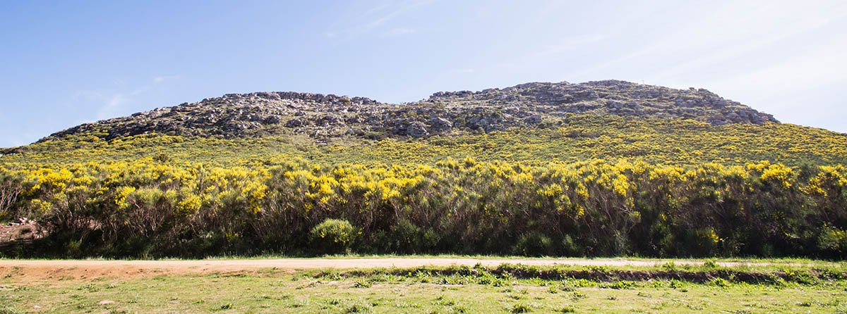 Las sierras de Balcarce, paraíso  ambiental que todos podríamos disfrutar