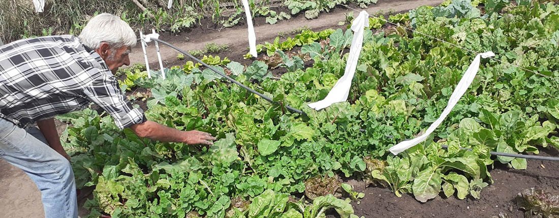 La huerta de la vida:  un gusto especial y  propio para Juan