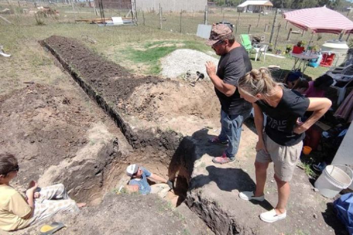 Hallaron en Necochea el cráneo de un Tigre Diente de Sable sudamericano