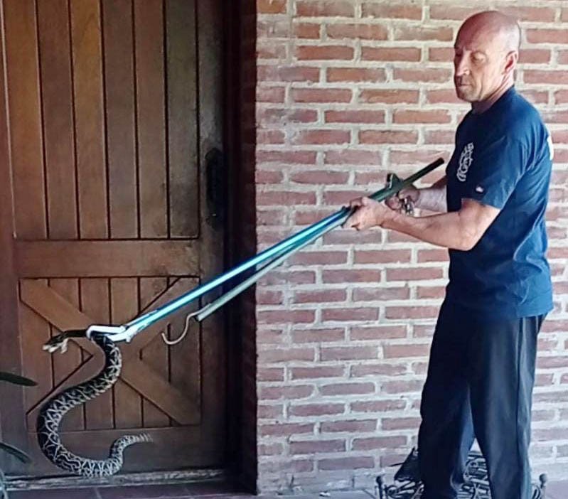 Animales venenosos: ¿son tan  letales  como  creemos?