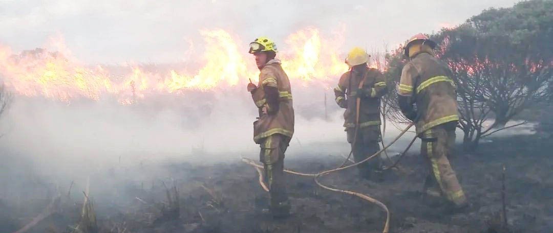 Bomberos Voluntarios combatieron incendio forestal