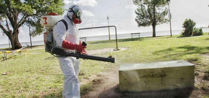 Detectan un genotipo de dengue que no había circulado antes en Argentina