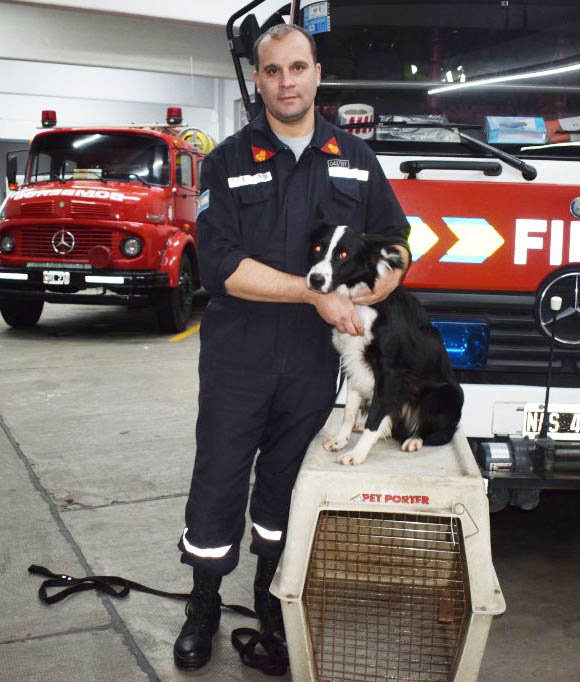 “Simón” y “Tana”, los perros rescatistas balcarceños