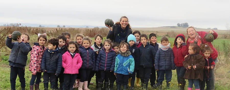 Alumnos del "San José" participaron de una cosecha de zapallos con fines solidarios