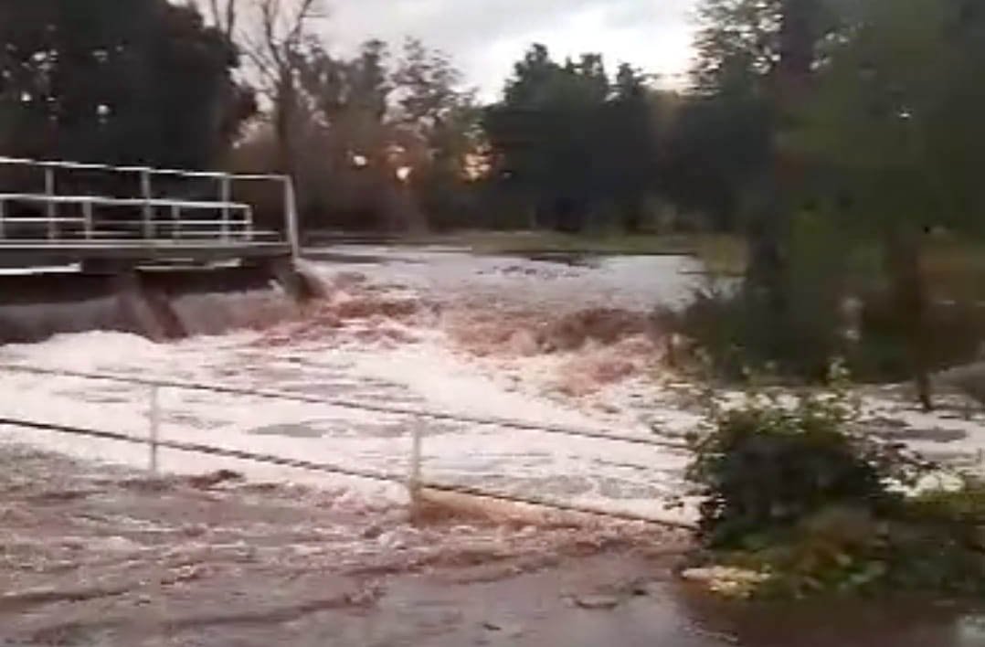 Se le dio vuelta el bote, un amigo quiso ayudarlo y casi mueren ahogados