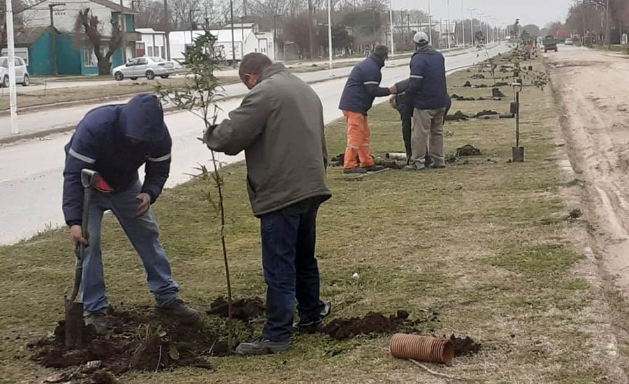 Se plantaron 140 ejemplares en el marco de Semana del Árbol