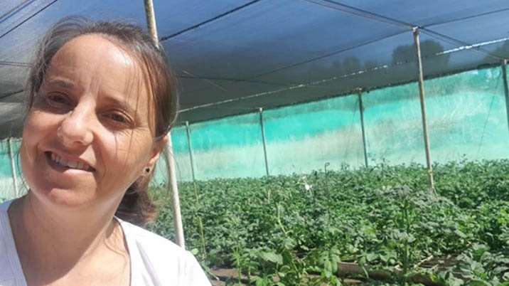 Bancos de germoplasma: con la misión de conservar variedades de cultivo para la posteridad