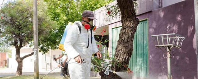 Dengue: para la Provincia es la epidemia “más grande de la historia del país”