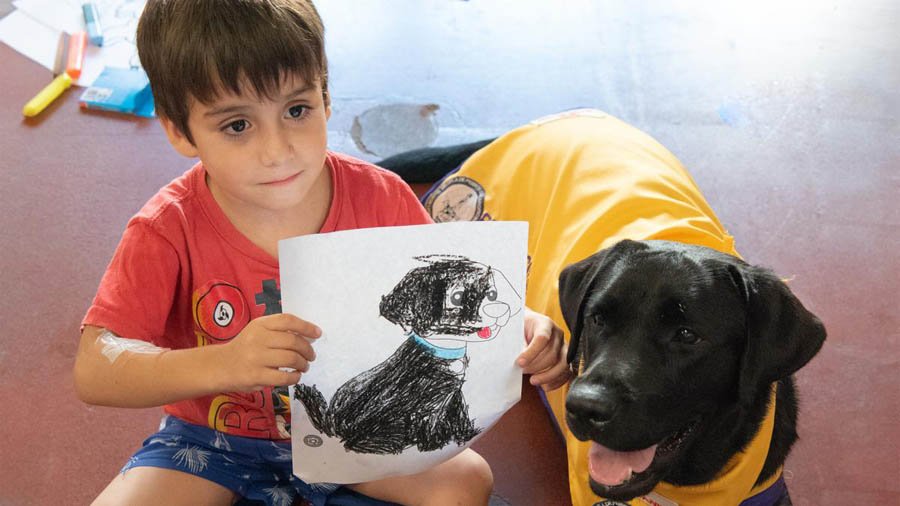 El Garrahan implementa por primera vez la terapia asistida con perros para pacientes internados