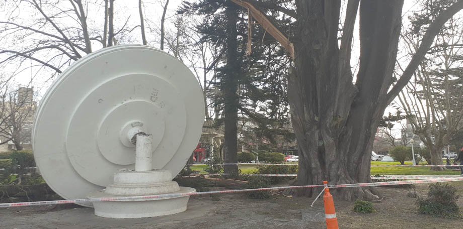Un gajo de un árbol cedió y derrumbó “El Honguito”
